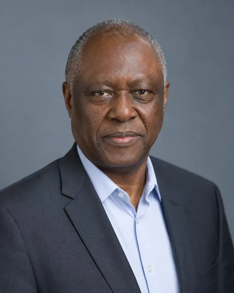 Portrait of Oludare Fashina, Non-Executive Director at Zendale Consulting
